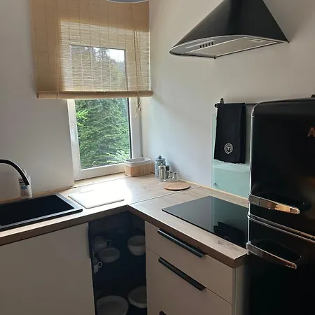 Apartment Sanatoryjna